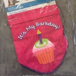 It’s My Barkday Pink Reversible Pet Bandana New